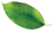 rev_home3_2.png